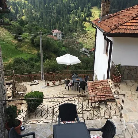 виевци Vievo
