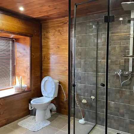 виевци 게스트하우스 *