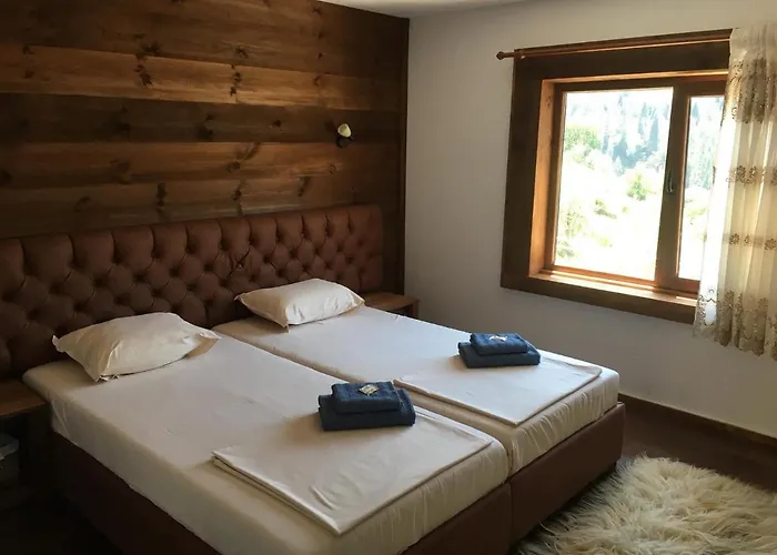 Pensiune виевци