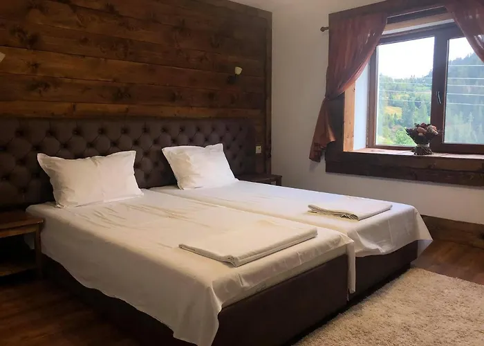 Pensiune виевци