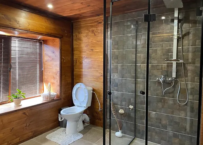 виевци Pensiune *