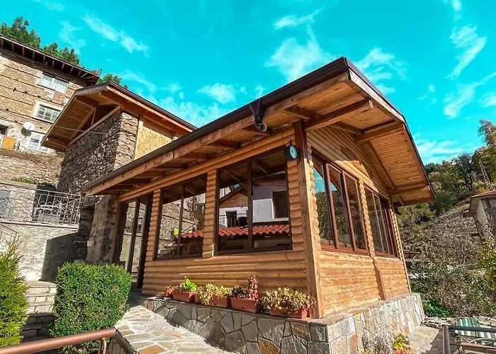 виевци Pensiune *