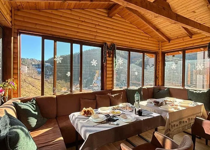 Pensiune виевци