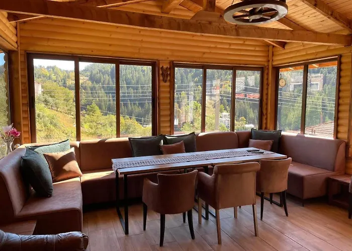 виевци Pensiune